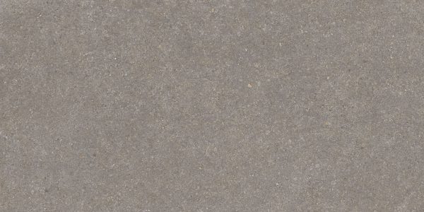 RODIN GREY 60X120