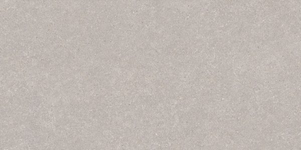 RODIN PEARL 60X120